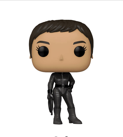 Selina Kyle Chase Funko Pop