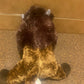 Buffalo Plush