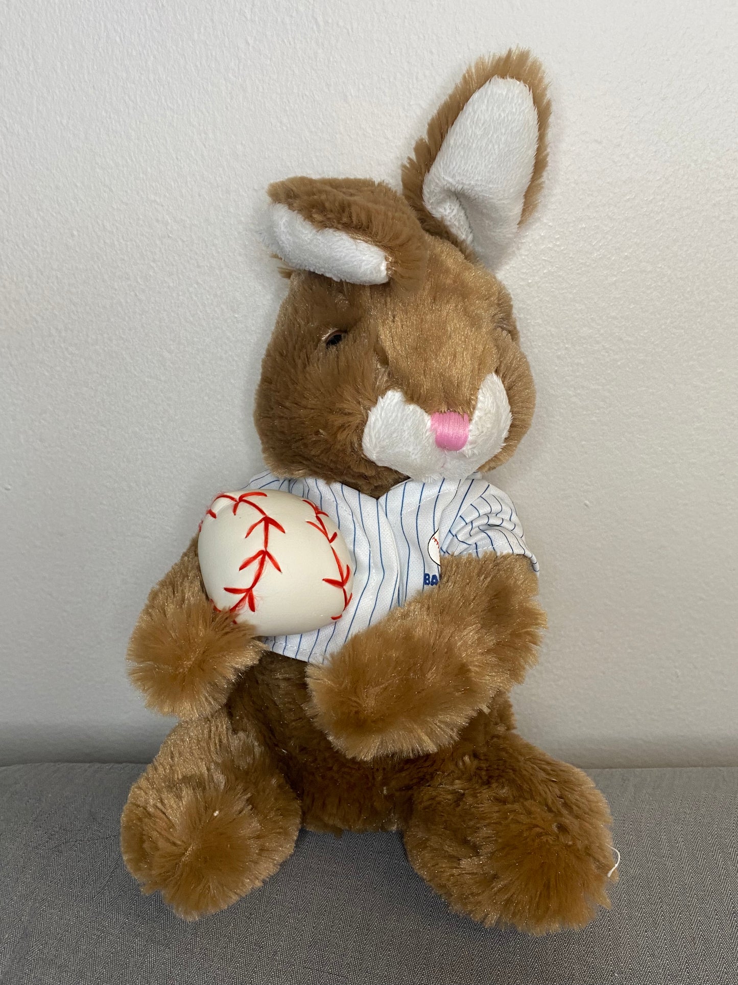 Baseball Bunny (Dan Dee)
